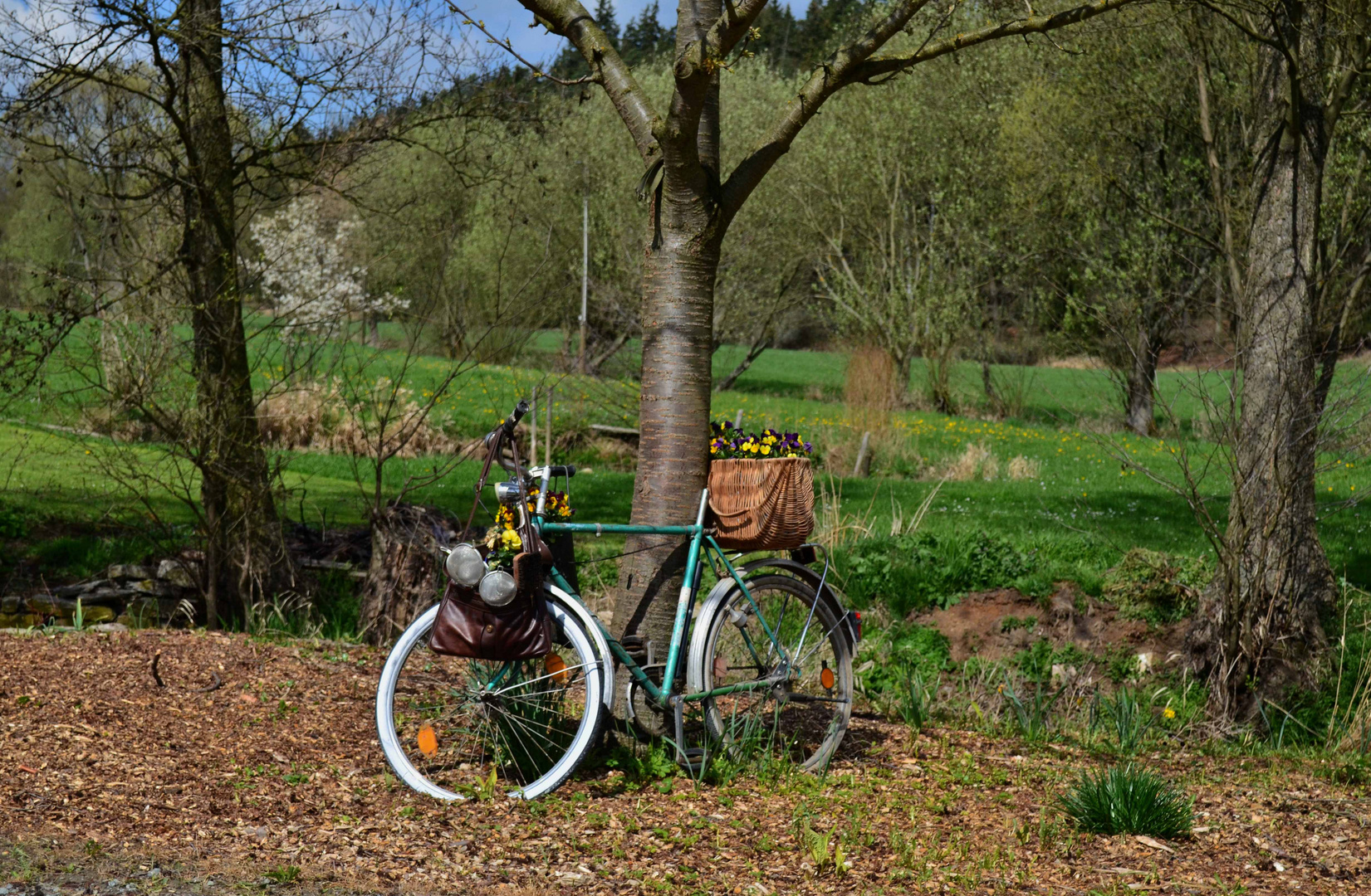 Fahrrad im Grün