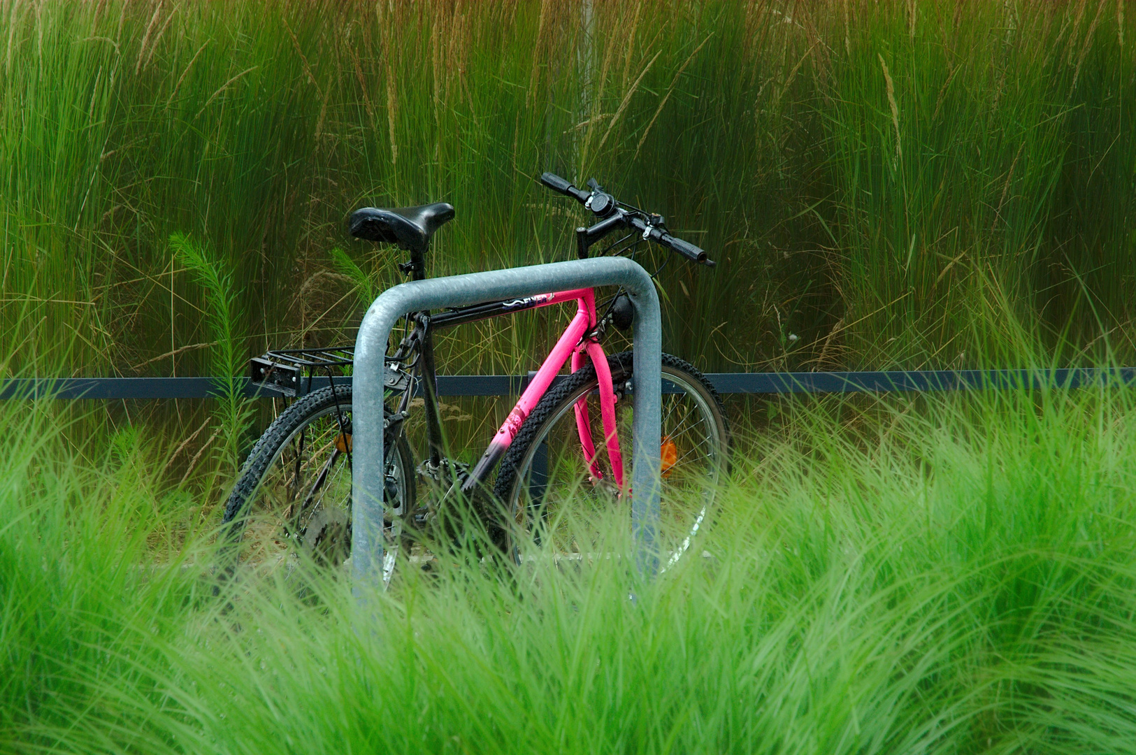 Fahrrad im Grünen