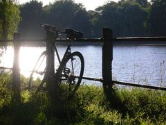 Fahrrad im Grünen