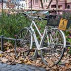 Fahrrad im Herbst