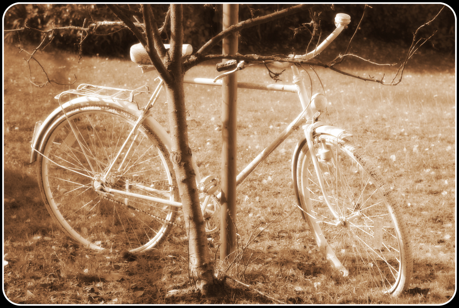 Fahrrad im Ruhestand