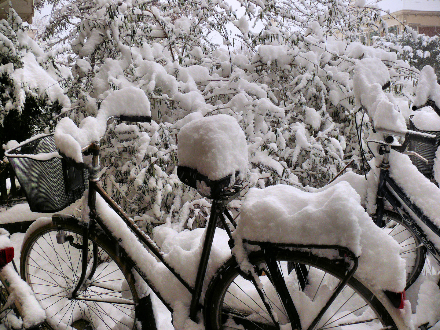 fahrrad im schnee