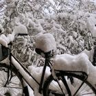 fahrrad im schnee