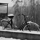 FAHRRAD IM SCHNEE