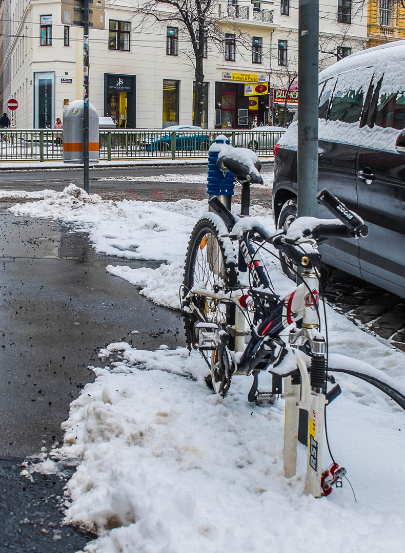 Fahrrad im Schnee - aber mit winterfesten Stollenreifen