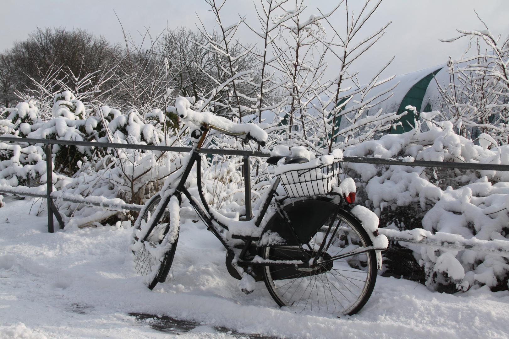 Fahrrad im Schnee ( Hamburg Hafen 2010)