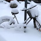 Fahrrad in Berlin