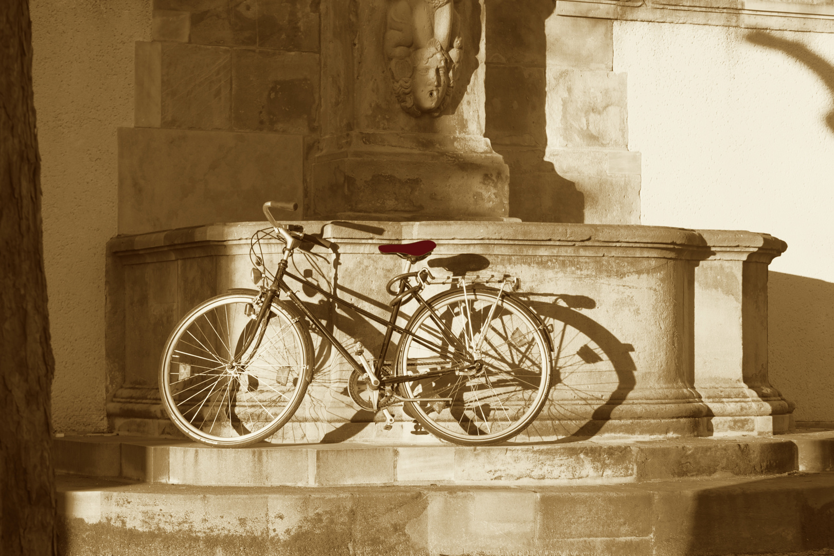 Fahrrad in der Abendsonne