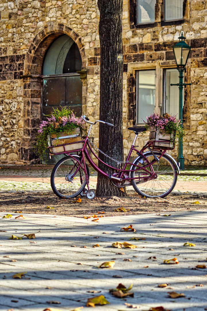 Fahrrad in der Herbstsonne