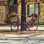 Fahrrad in der Herbstsonne