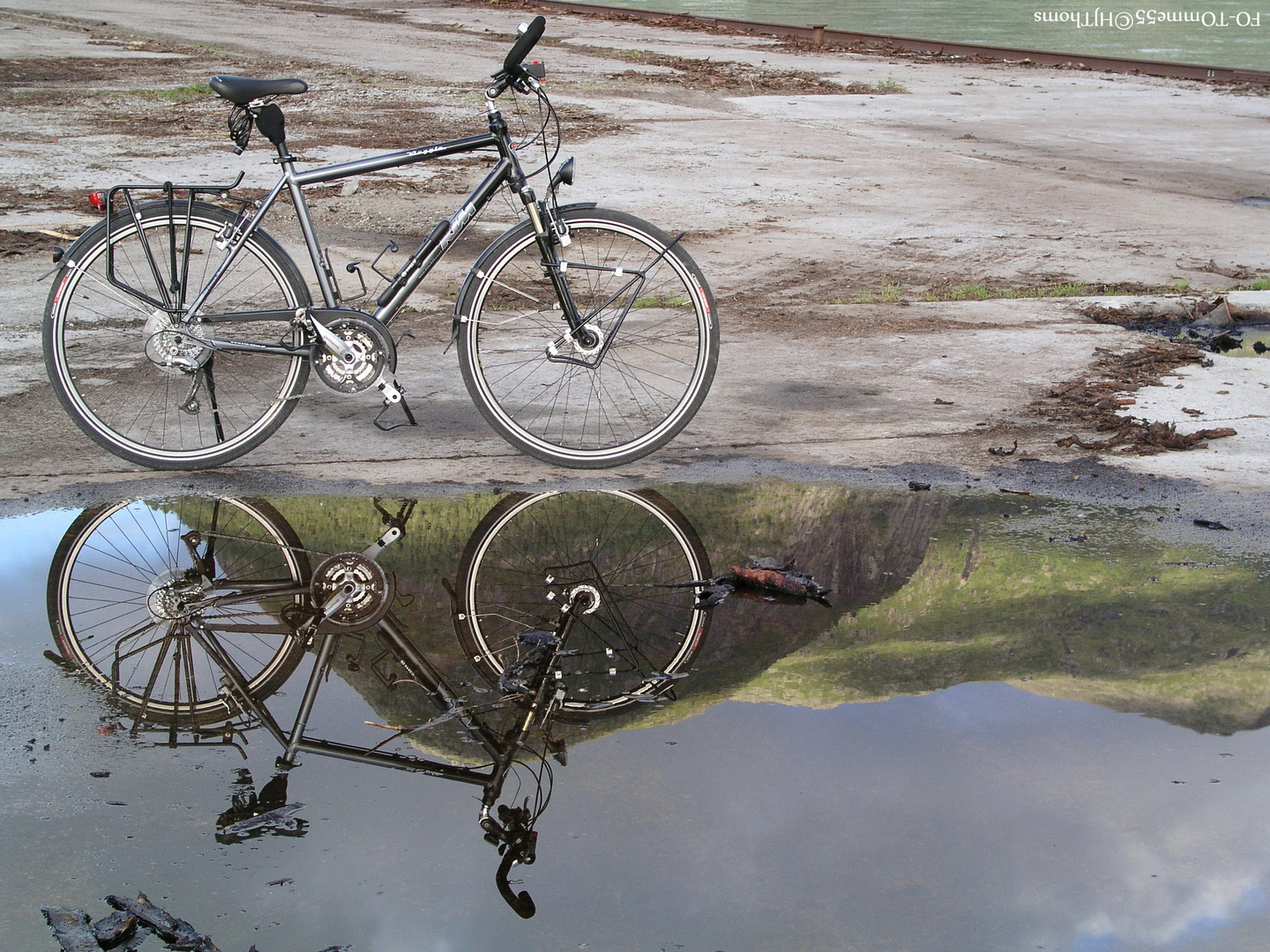 Fahrrad in der Pfütze II