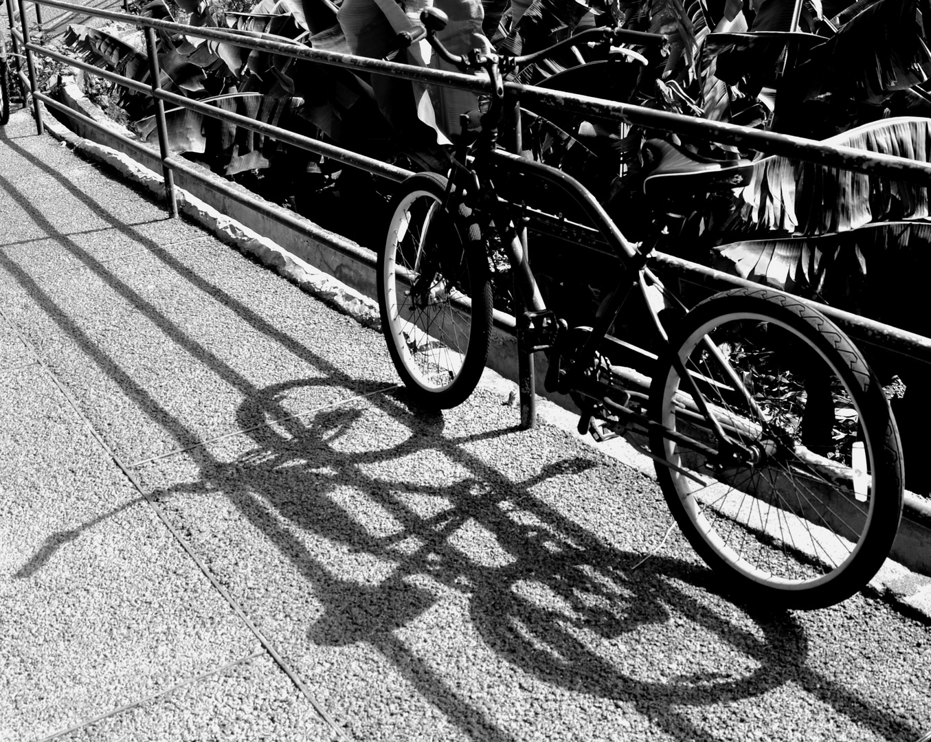 Fahrrad in der Sonne