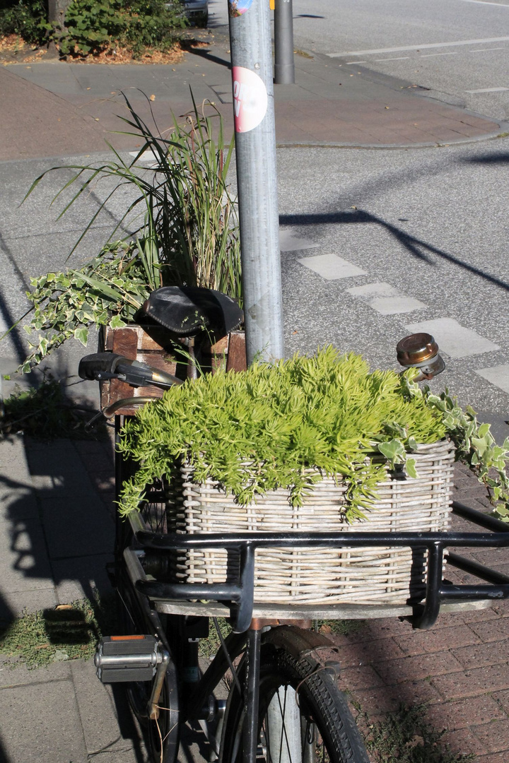 Fahrrad mit Ballast  