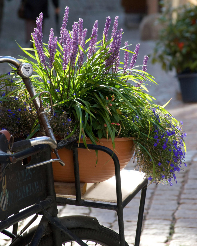 Fahrrad mit Blumen