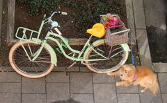 Fahrrad mit Herz und Hund