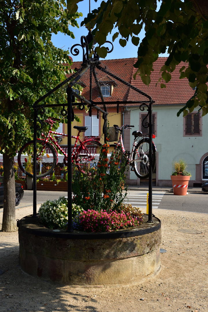 Fahrrad Neuf Brisach_00001