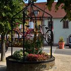 Fahrrad Neuf Brisach_00001