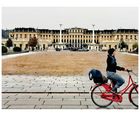 Fahrrad Schloss Wien P30-27-col +39FotosWien