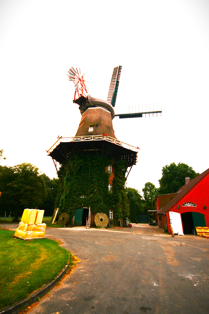 FAHRRAD TOUR IN =STFRIESLAND 