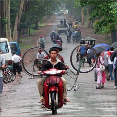 Fahrrad-Transport