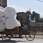 Fahrrad - Transport