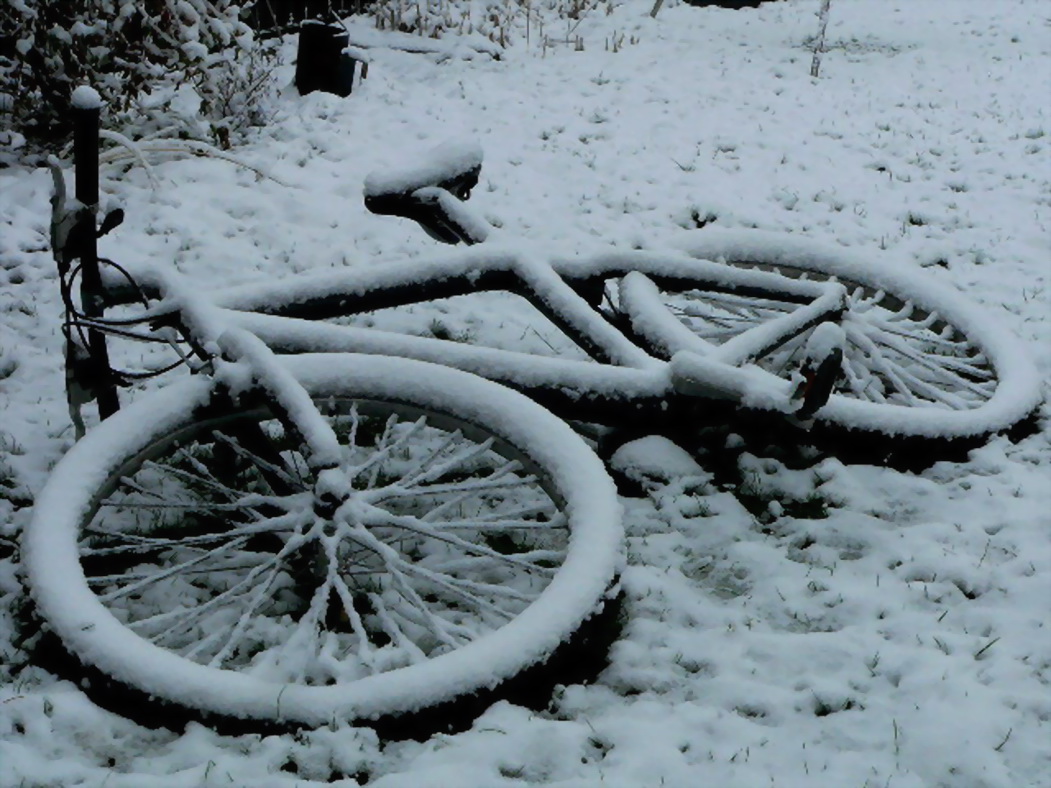 Fahrrad überwintert