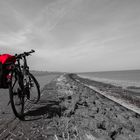 Fahrrad und Nordsee