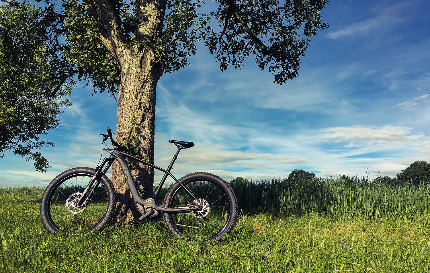 ....  Fahrrad unter dem Baum  ....