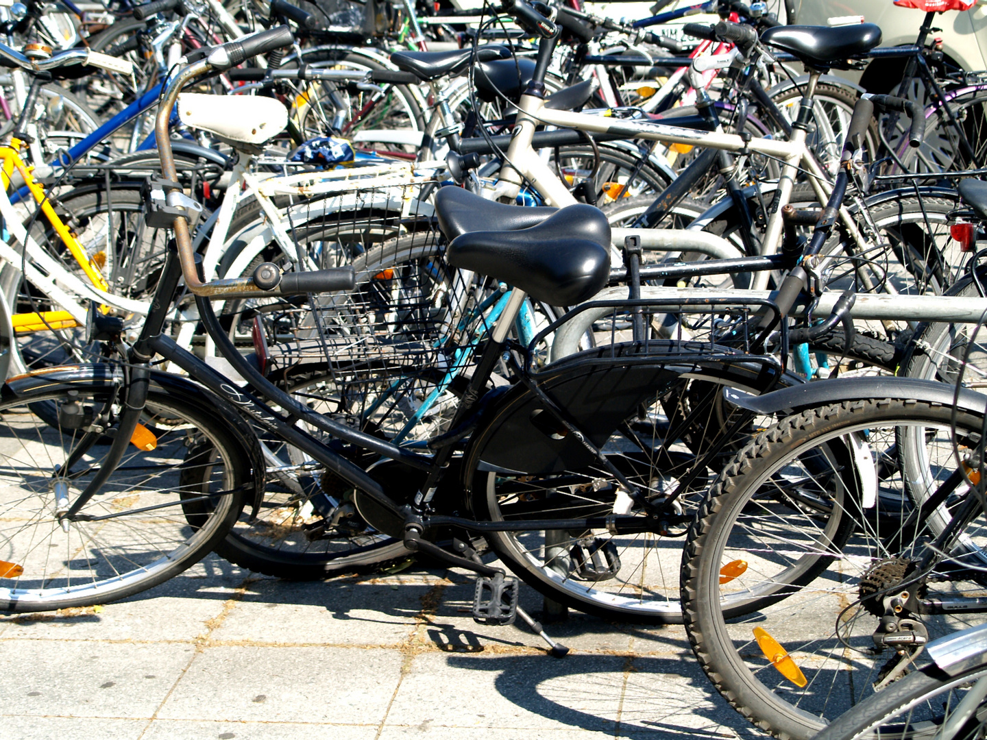 Fahrrad - Wald