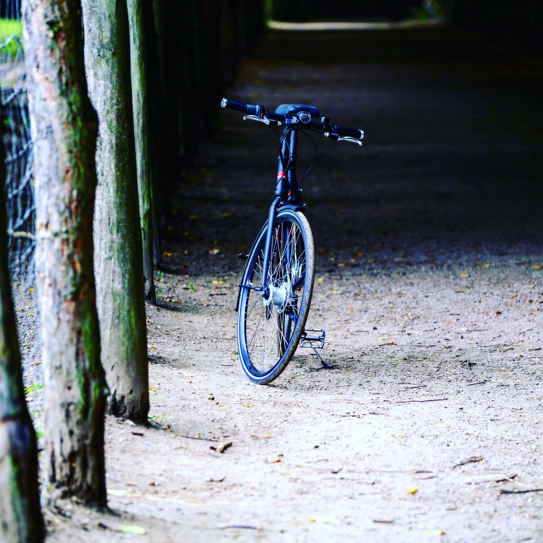 Fahrrad wartet 