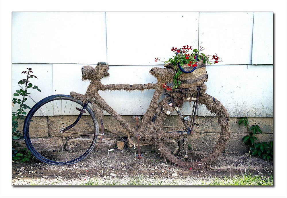 fahrradblumen aus ...