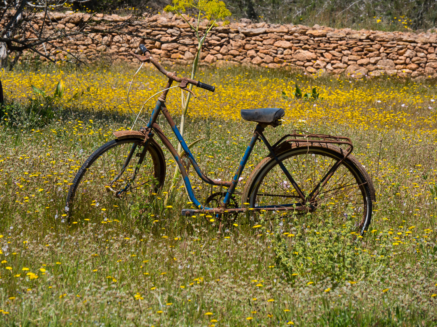 Fahrraddeko...