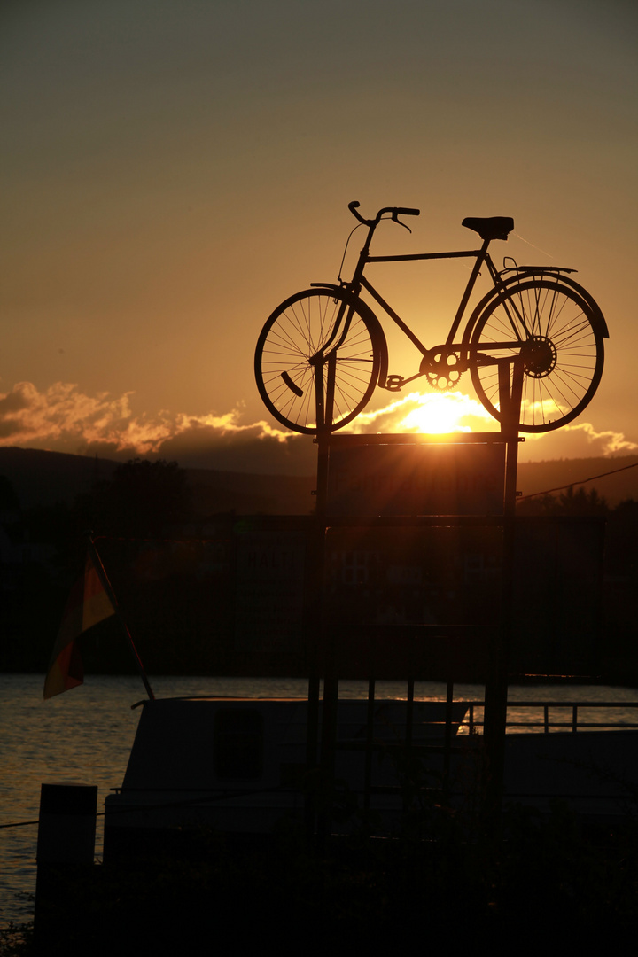 Fahrradfähre in Mainz / Budenheim