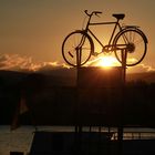 Fahrradfähre in Mainz / Budenheim