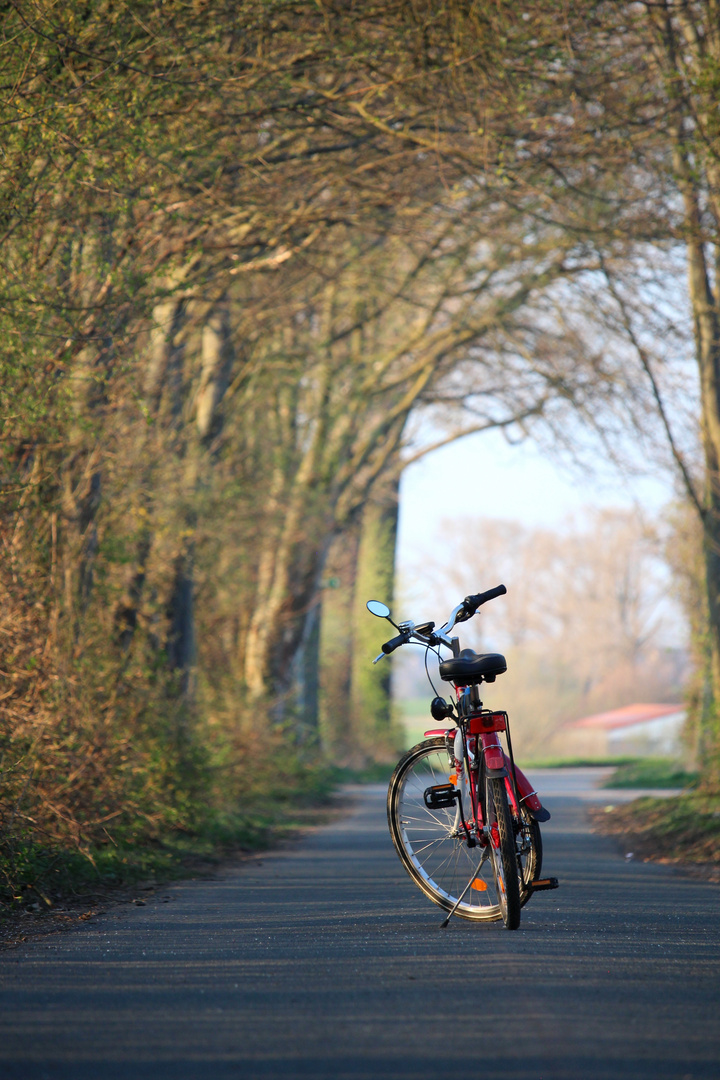 Fahrradfahren 