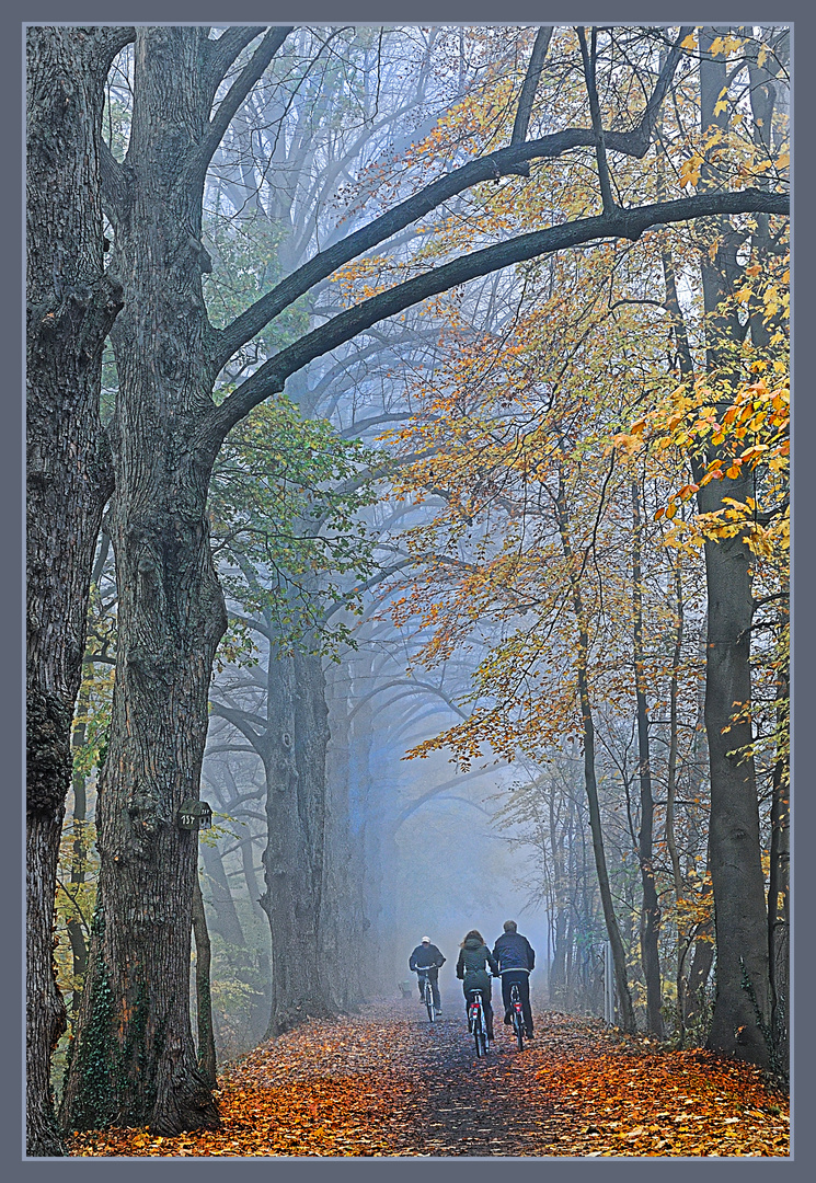 Fahrradfahren im Herbst