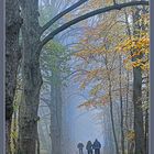 Fahrradfahren im Herbst