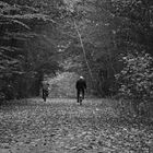 Fahrradfahren im Herbst