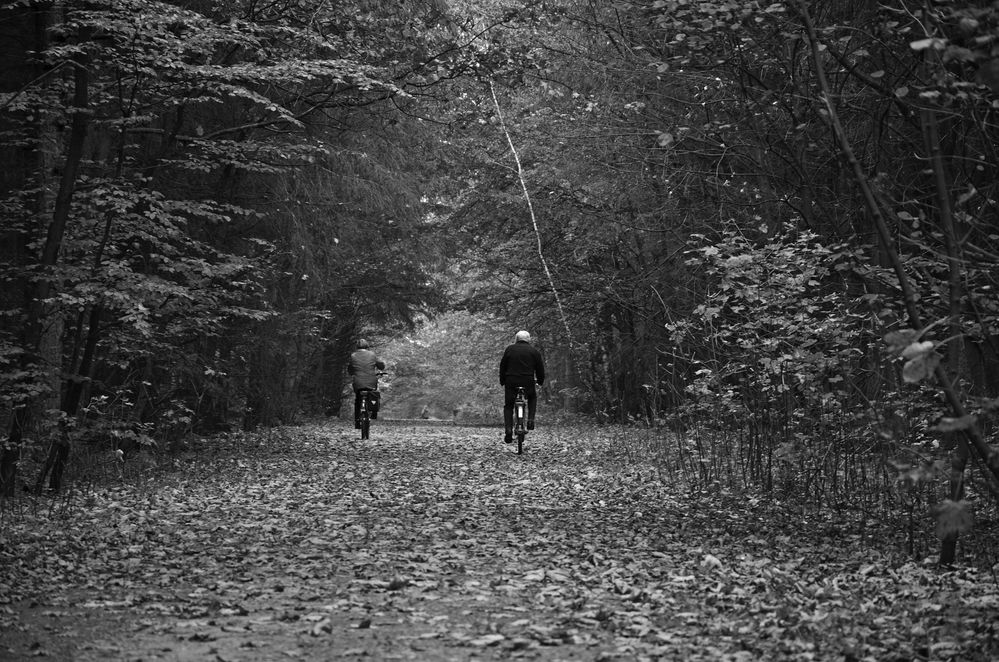 Fahrradfahren im Herbst