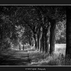 Fahrradfahren im Münsterland 