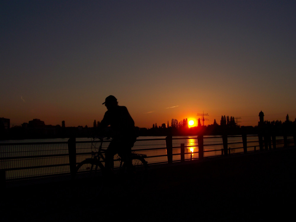 Fahrradfahrer am Rummelsburger Ufer (Berlin)