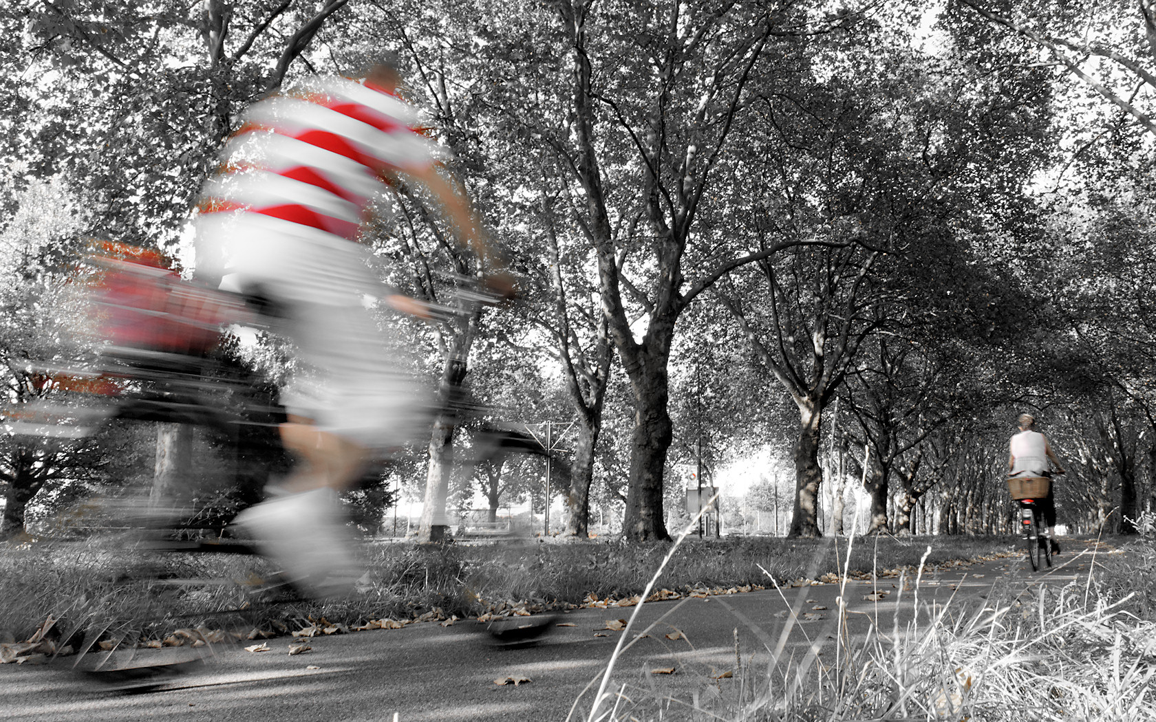 Fahrradfahrer, Düsseldorf-Hamm, September 2011