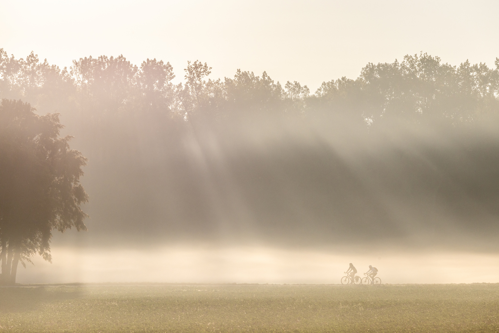 Fahrradfahrer im Morgennebel