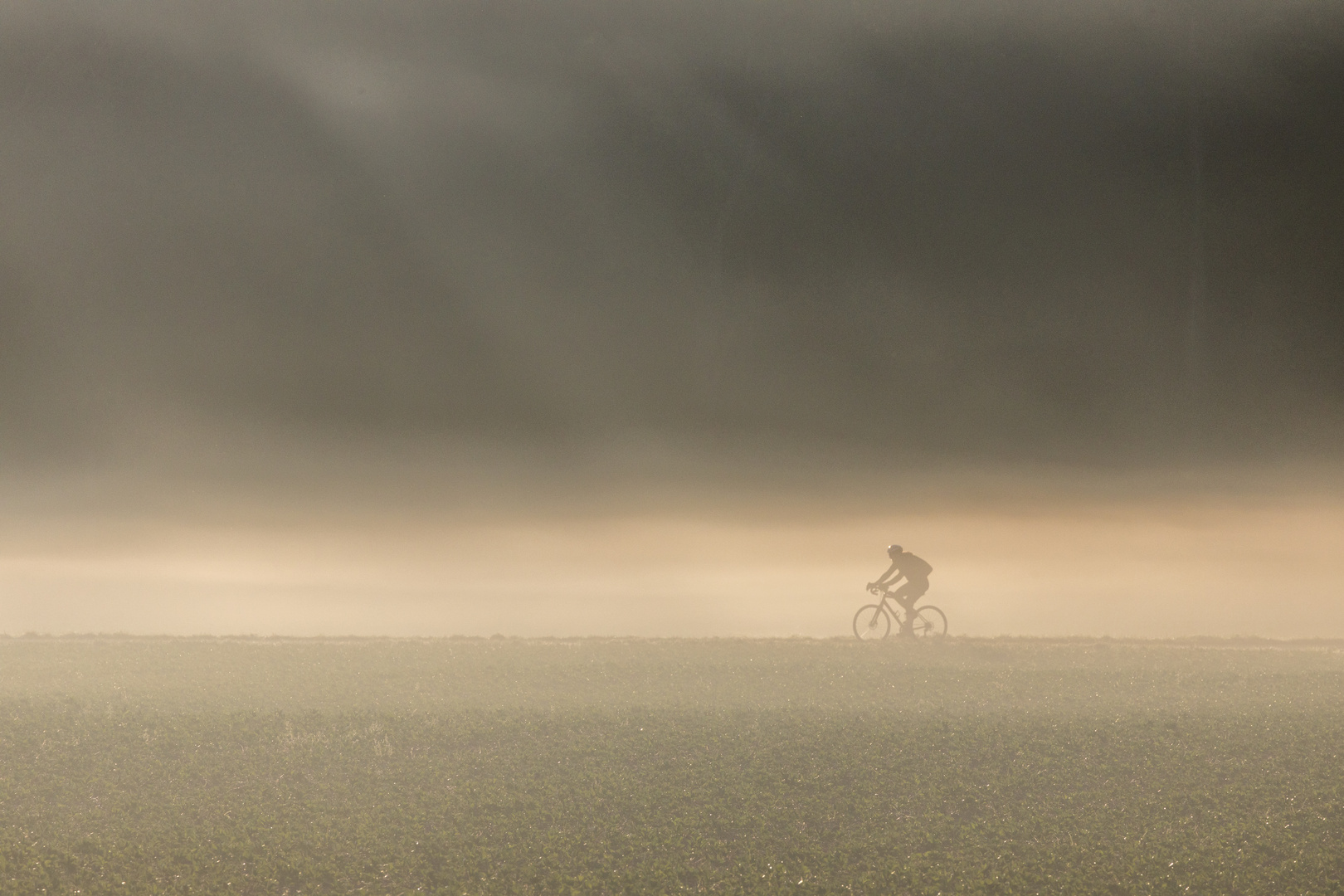 Fahrradfahrer im Morgennebel