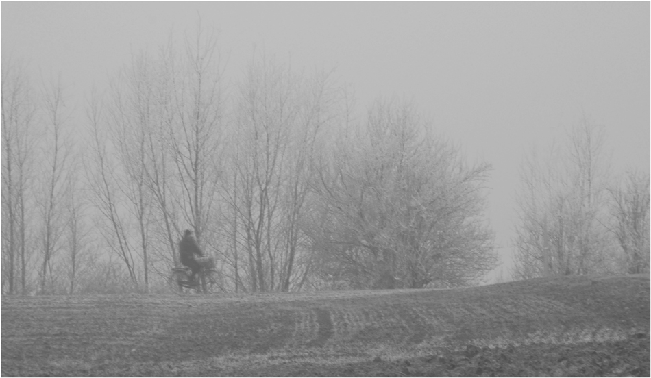 Fahrradfahrer im Nebel