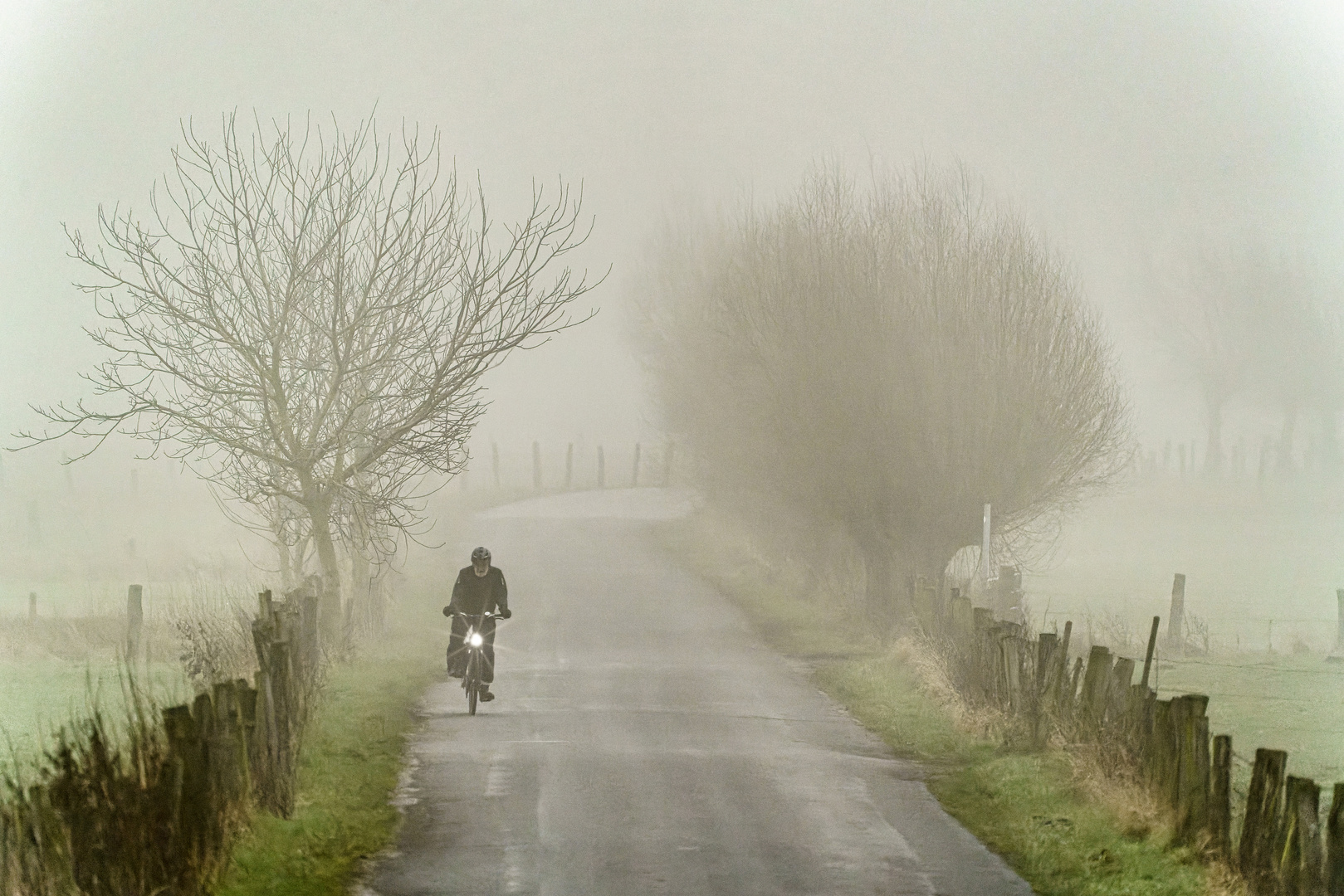 Fahrradfahrer im Nebel, Bislicher Insel, 2022.01.15.