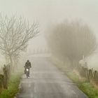 Fahrradfahrer im Nebel, Bislicher Insel, 2022.01.15.