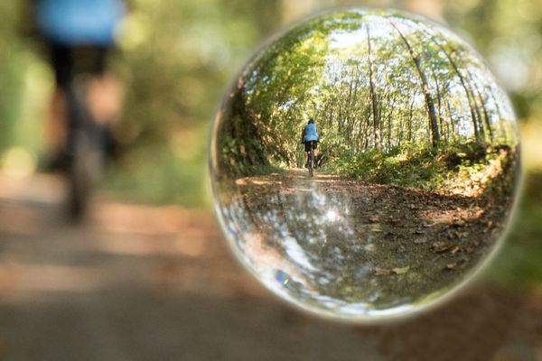 Fahrradfahrer im Wald