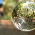 Fahrradfahrer im Wald