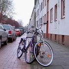 Fahrradflirt in Novembersonne